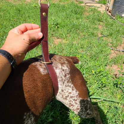 Durham Dog Training Flank Collar