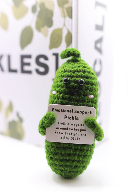 PICKLE MERCH - Unique Collection of Pickle Accessories