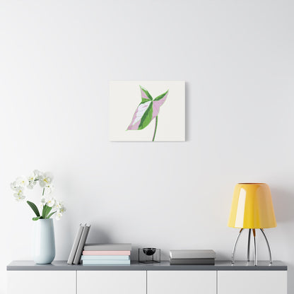 Syngonium Tricolor Canvas Print – Botanical Wall Art