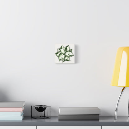 Manjula Pothos Canvas Print – Botanical Wall Art