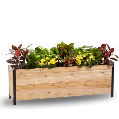 18" x 72" Planter Box - 24" TALL / Select Grade
