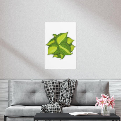 Philodendron Brasil Botanical Print – Unframed Wall Art