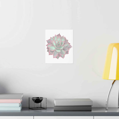 Echeveria Violet Queen Succulent Botanical Print – Unframed Wall Art