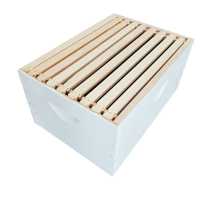 8-Frame Completed, Deep 9 5/8-inch Box with Frames and Foundation