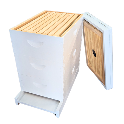 8-Frame All-Medium Box Hive Kit