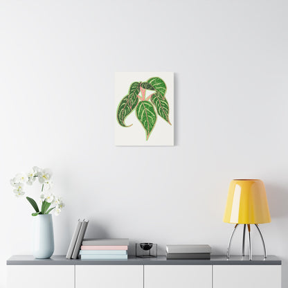 Aglaonema Sparkling Sarah Canvas Print – Botanical Wall Art