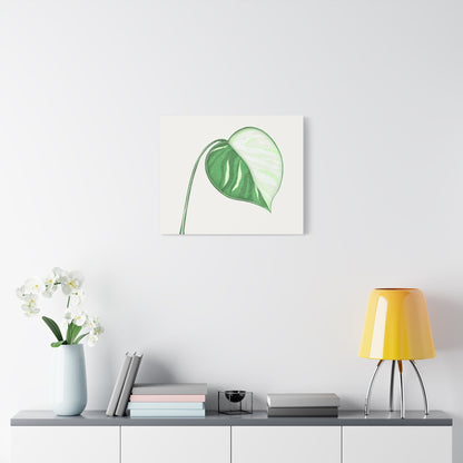 Monstera Albo Canvas Print – Botanical Wall Art
