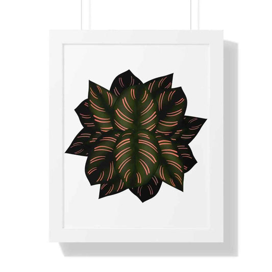 Calathea Pinstripe Framed Print – Botanical Wall Art