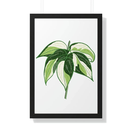 Philodendron Cream Splash Framed Print – Botanical Wall Art