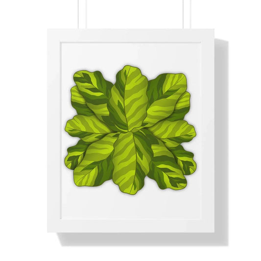 Calathea Yellow Fusion Framed Print – Botanical Wall Art