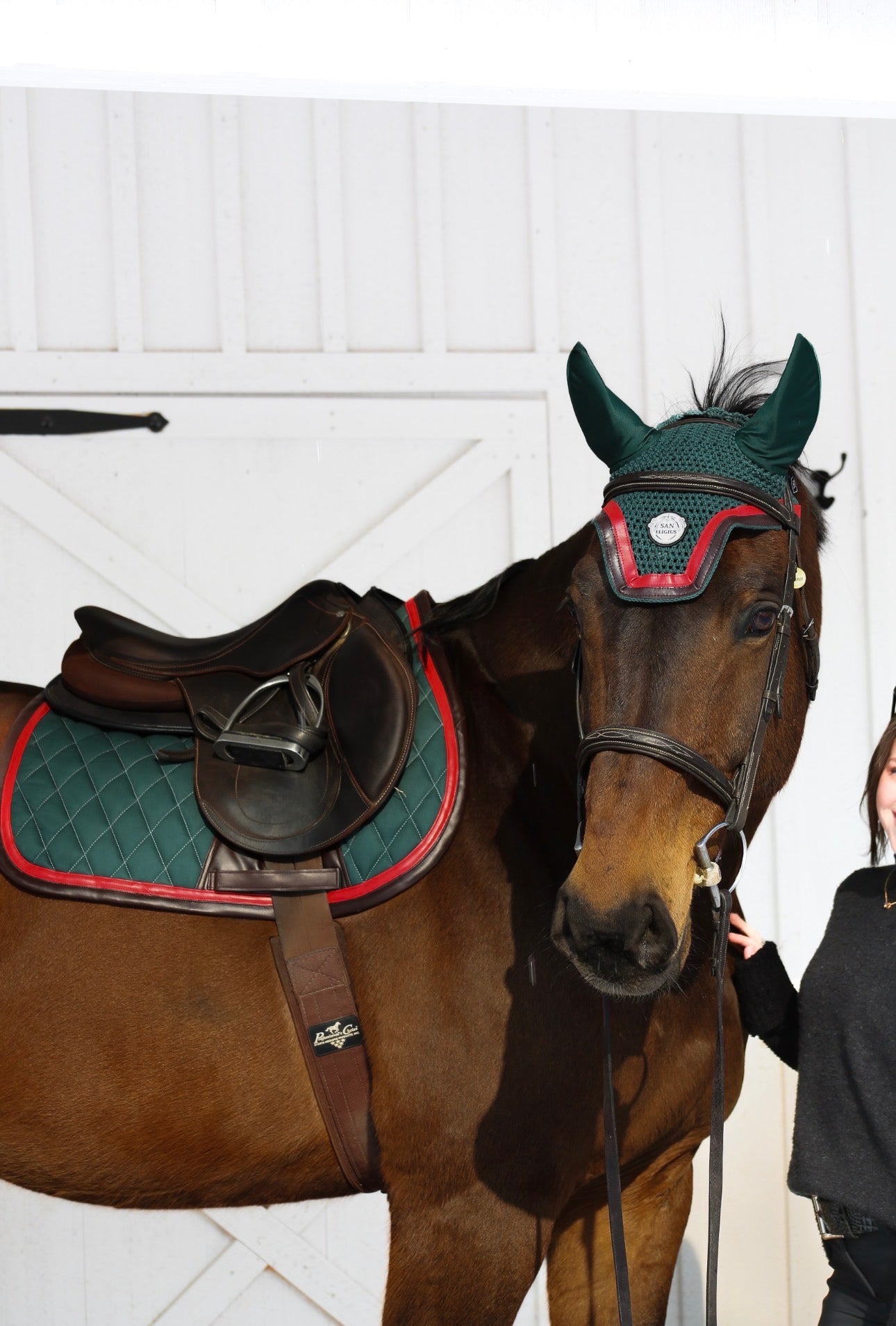 Jump Saddle Pad | Green- Brown & Red
