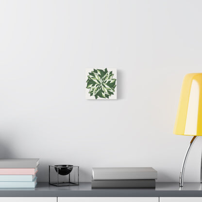 Calathea White Fusion Canvas Print – Botanical Wall Art