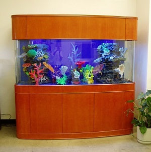 Northeast Aquariums