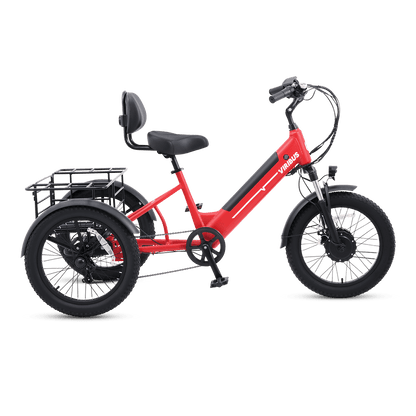 Viribus SC5 Fat Tire Electric Tricycle