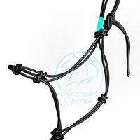 Stiff 4 Knot Clinician Training Halter