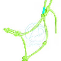 Stiff 4 Knot Clinician Training Halter