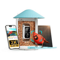 Birdfy Feeder - AI-Powered Smart Bird Feeder with Camera