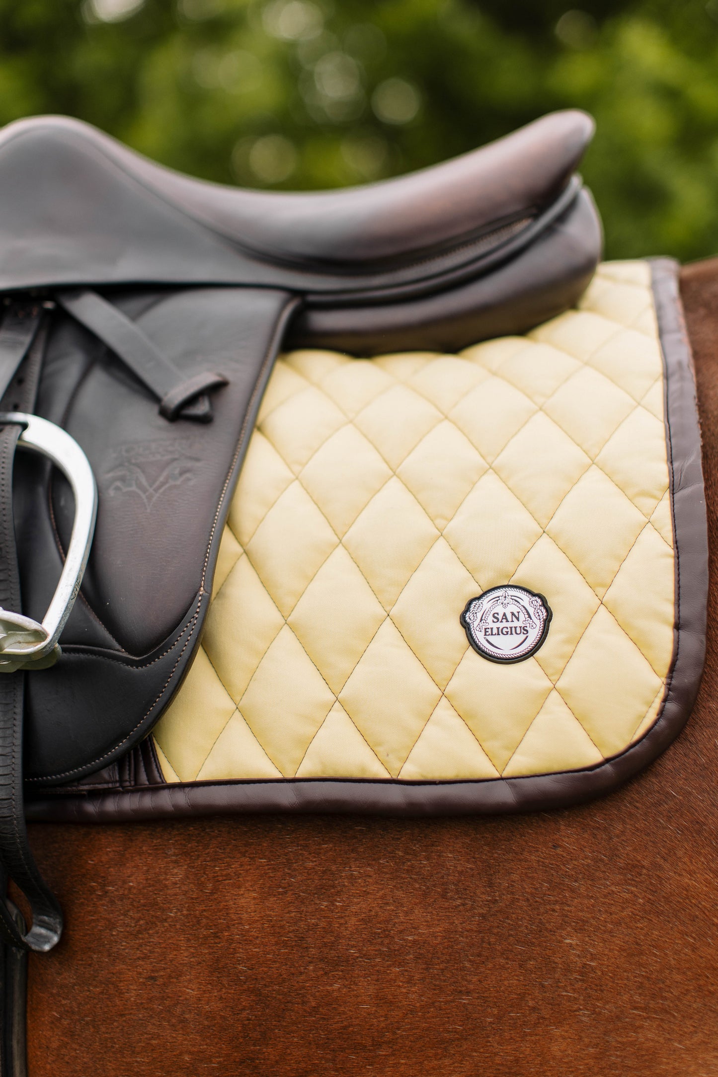 Jump Saddle Pad | Yellow