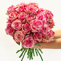 Painted Petal Roses