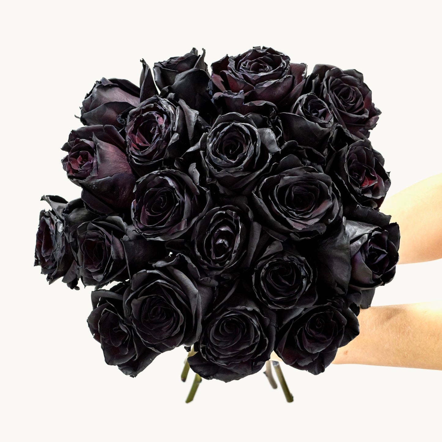 Black Velvet