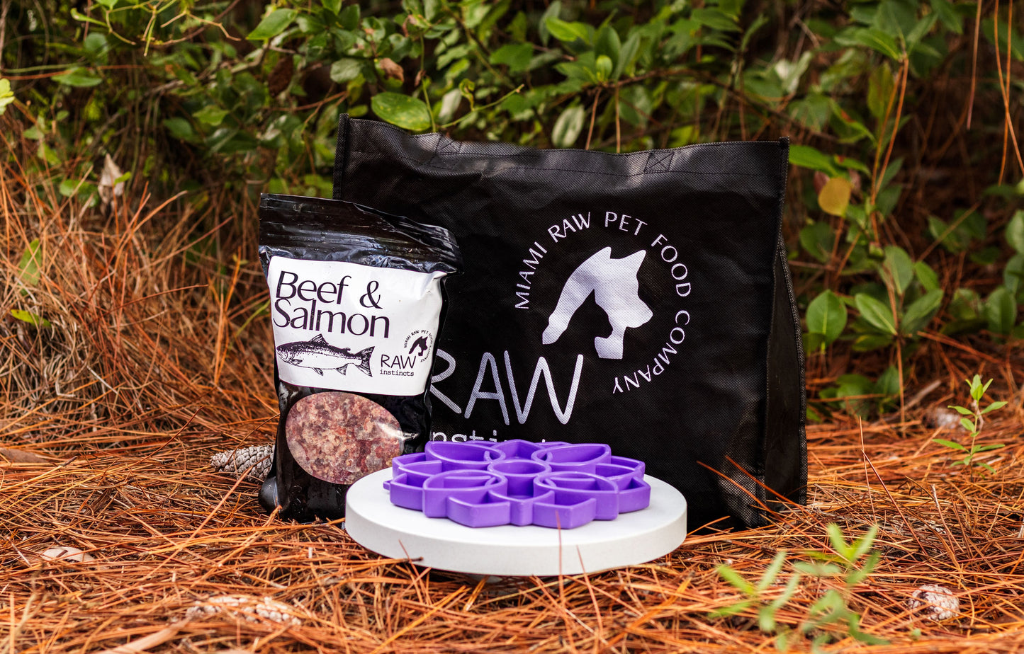 Raw Beef & Wild-Caught Salmon Meal Blend for Cats & Dogs — Prey Model Raw | Raw Instincts Florida