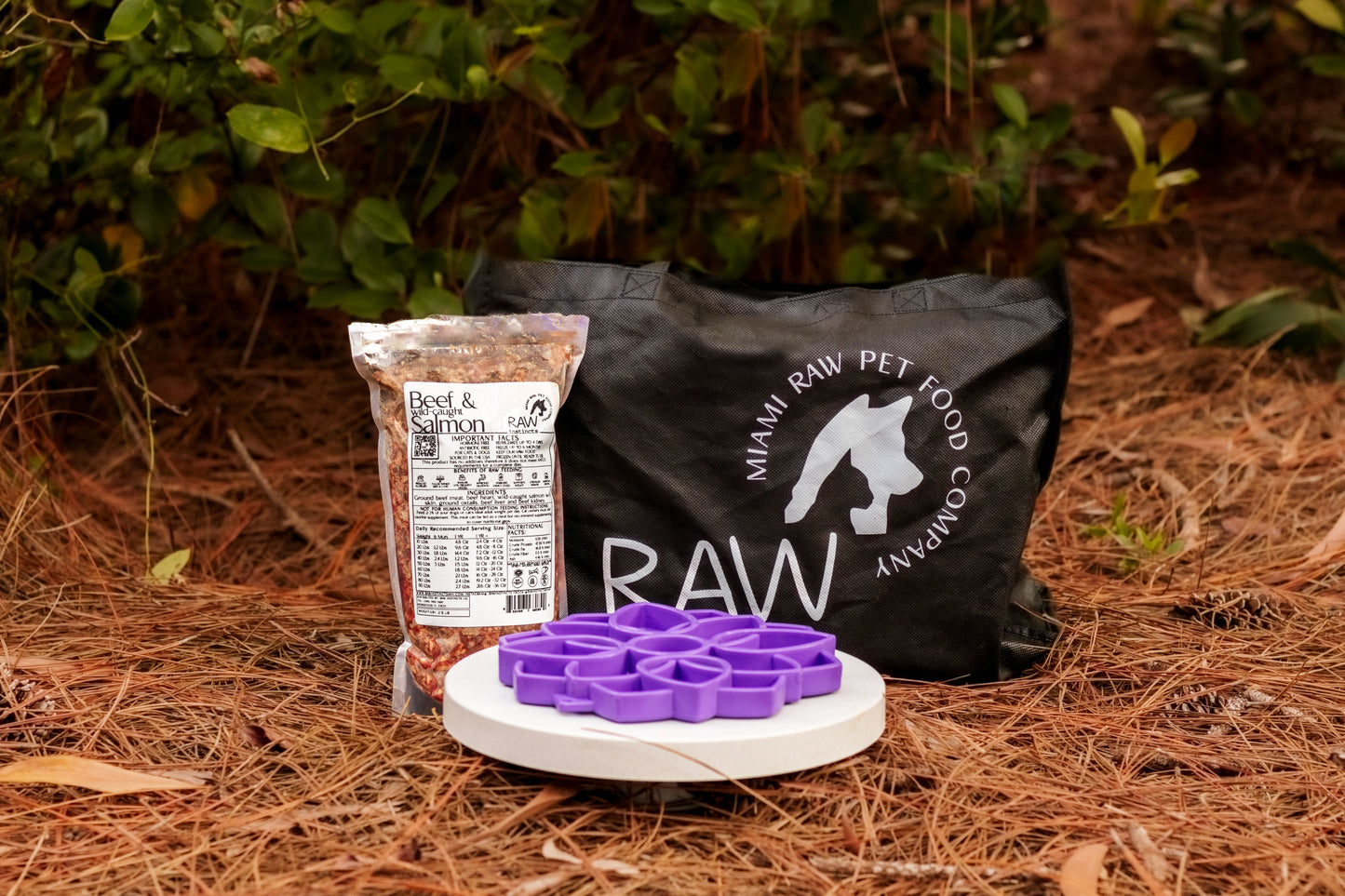 Raw Beef & Wild-Caught Salmon Meal Blend for Cats & Dogs — Prey Model Raw | Raw Instincts Florida