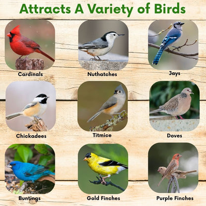 Pollinator & Wild Bird Seed Meadow Mix