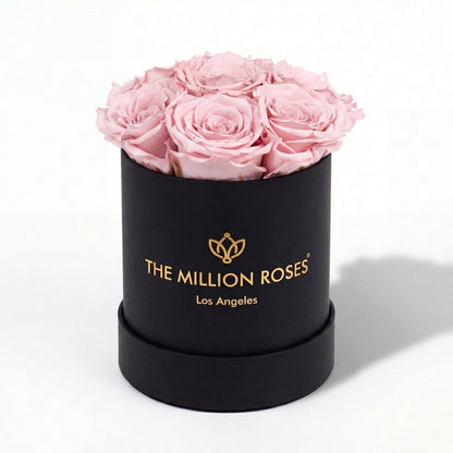 Essence Black Box | Light Pink Roses