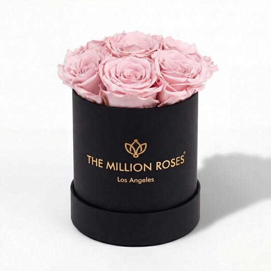 Essence Black Box | Light Pink Roses