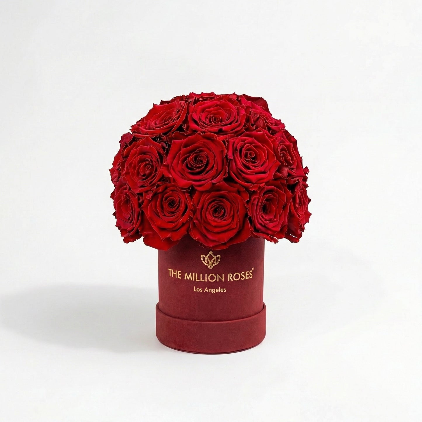 Essence Bordeaux Suede Superdome Box | Red Roses