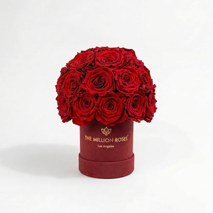 Essence Bordeaux Suede Superdome Box | Red Roses