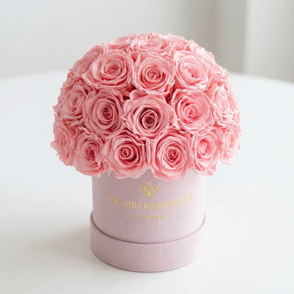 Essence Light Pink Suede Superdome Box | Light Pink Roses