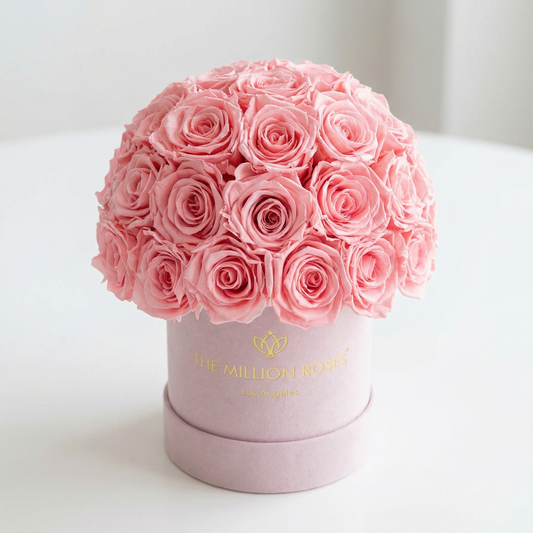 Essence Light Pink Suede Superdome Box | Light Pink Roses