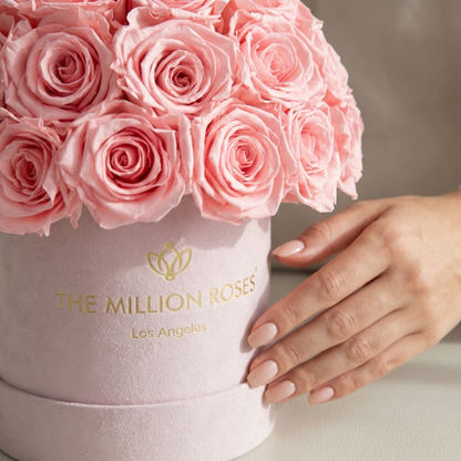 Essence Light Pink Suede Superdome Box | Light Pink Roses