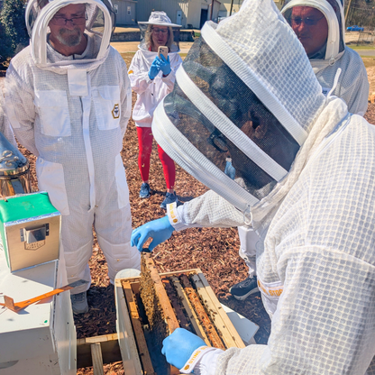 Bee School - One Day Class