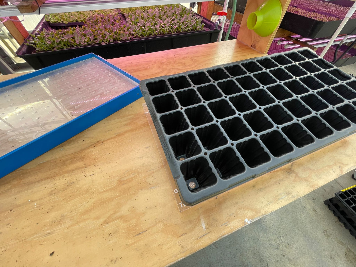 GreenEase Drop Seeder for Bootstrap Farmer Trays
