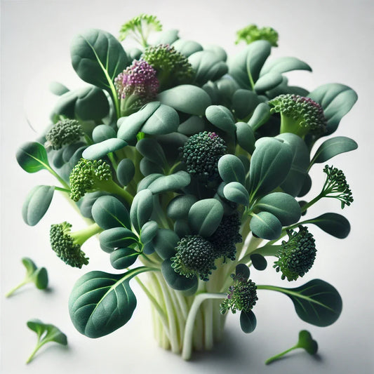 Broccoli
