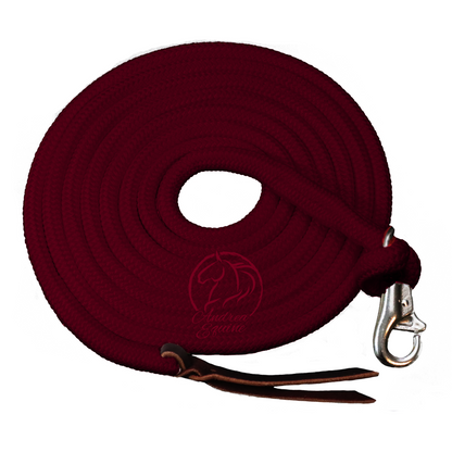 14 Ft Clinician Weighted Lead Rope w/ Snap