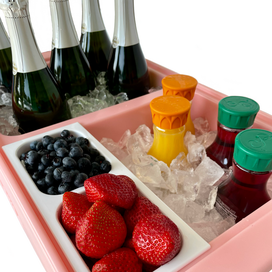Dubler Party Cooler™ | Pink Coral
