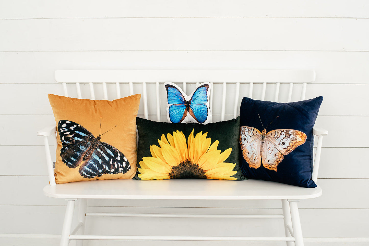 Morpho Butterfly Pillow, College Student Gift, Mother's Day Gift, Christmas Gift