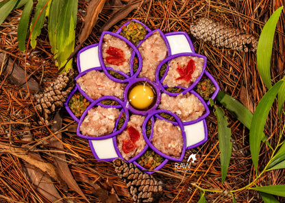 Raw Chicken & Turkey Meal Blend for Cats & Dogs — Prey Model Raw | Raw Instincts Florida