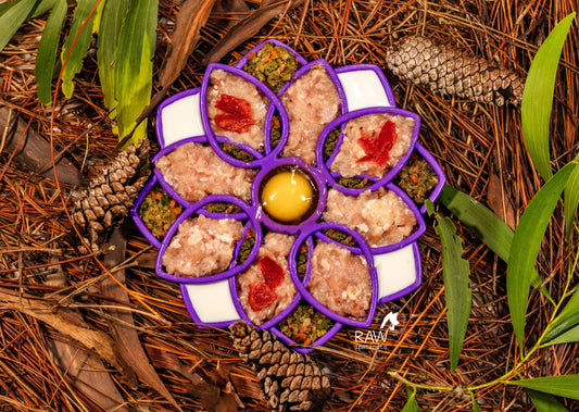 Raw Chicken & Turkey Meal Blend for Cats & Dogs — Prey Model Raw | Raw Instincts Florida