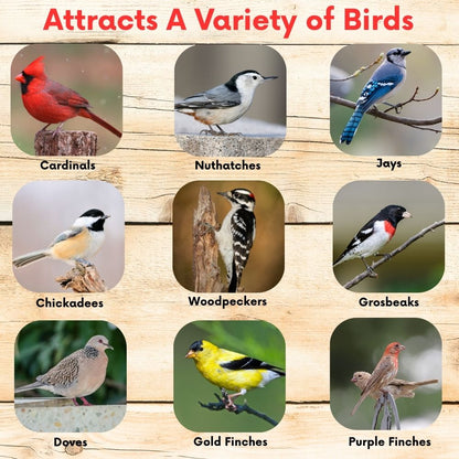 Cardinal & Finch Feast Wild Bird Seed Blend