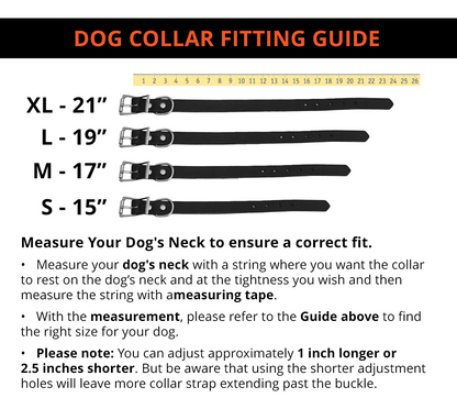 Leather Dog Collar