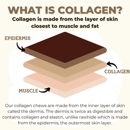 10-12 Inch Braided Collagen Stick