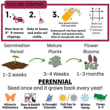 Crimson Clover Seed