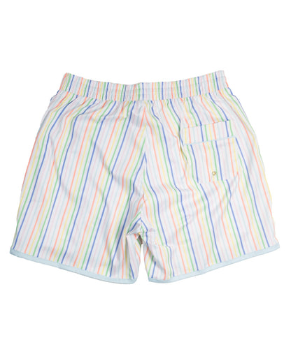 Rainbow Row Swim Trunks for Men-FINAL SALE
