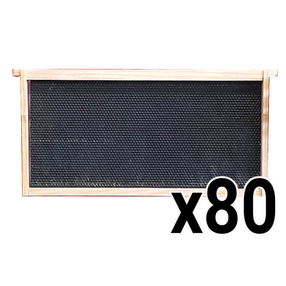 Deep 9 1/8-Inch Langsroth Frame, Grooved Top / Grooved Bottom With Double Wax Foundation