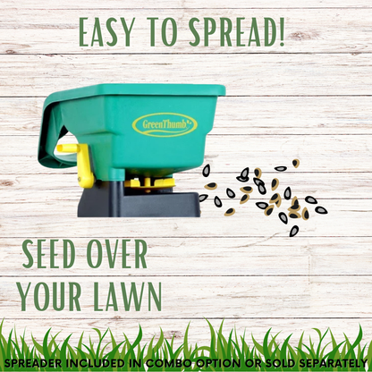 Simple Lawn Fine Fescue Grass Seed