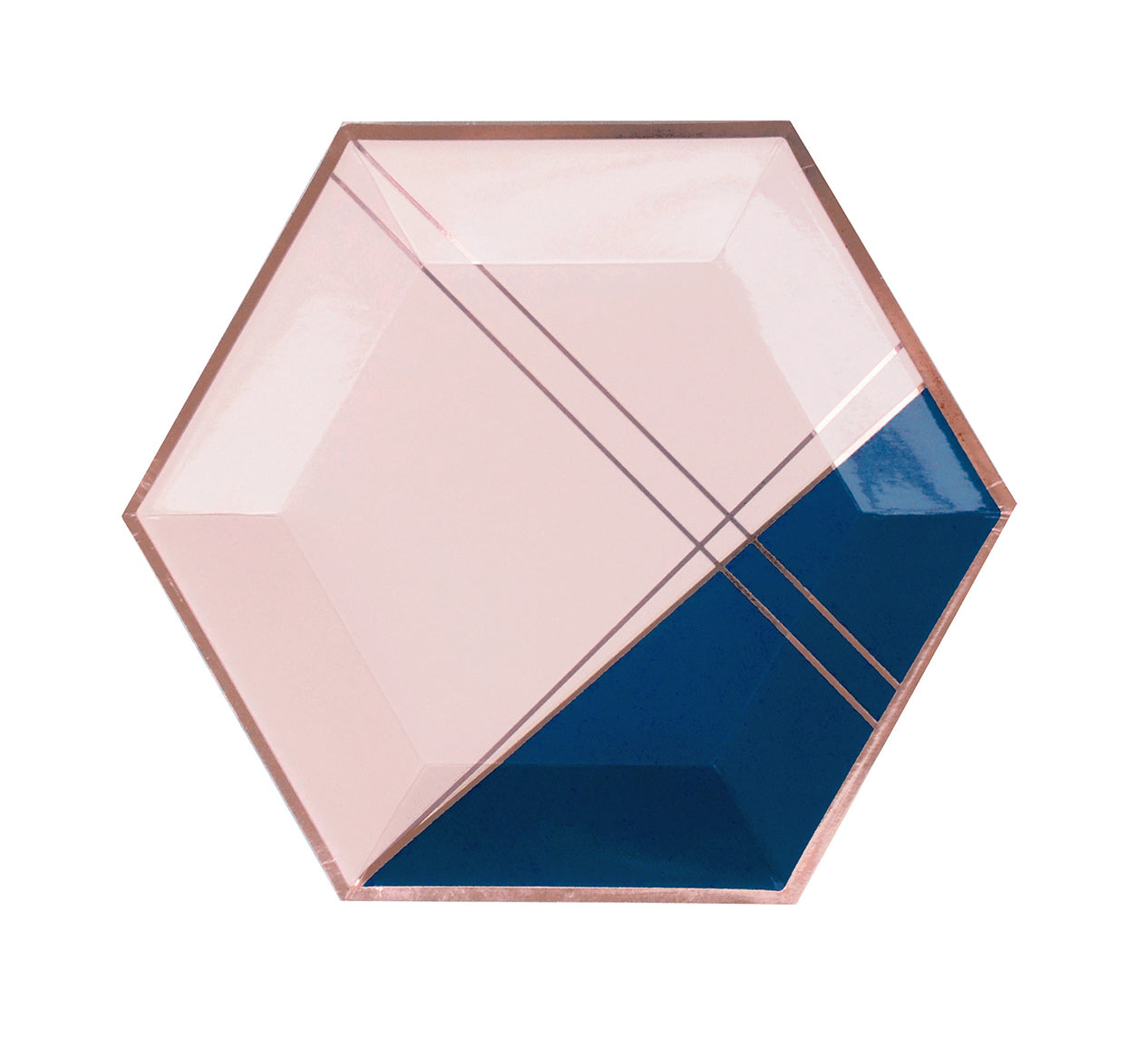 Blush Pink & Navy Large Party Plates